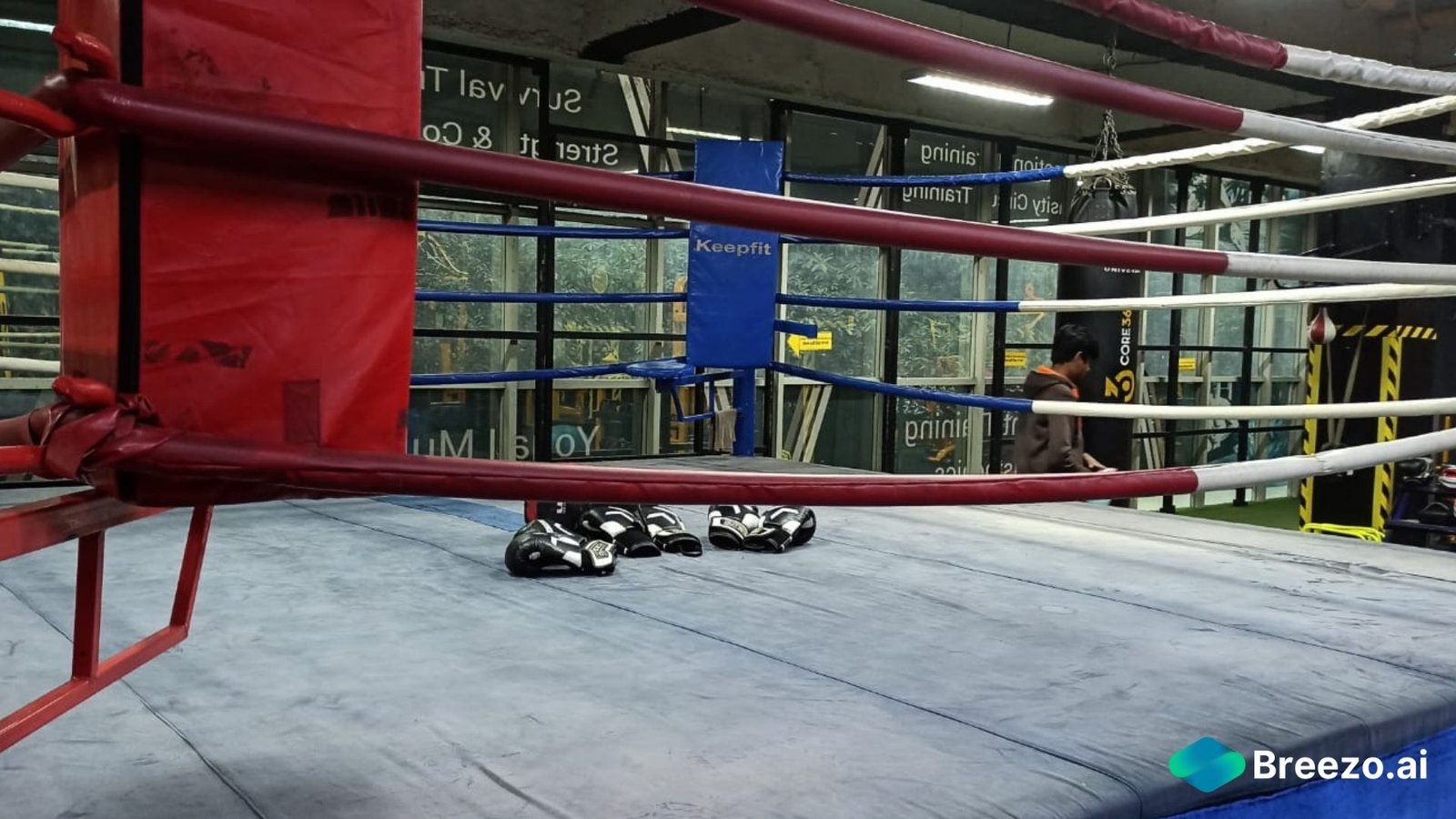 Take a tour of the world's most famous boxing gym where Muhammad Ali, Mike  Tyson, and countless celebrities have trained | BusinessInsider India